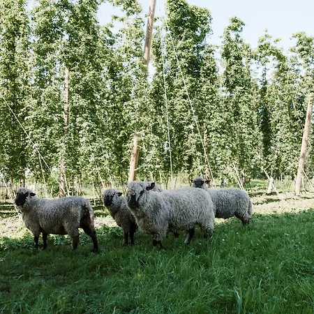 Stiegl-gut Hotell Wildshut