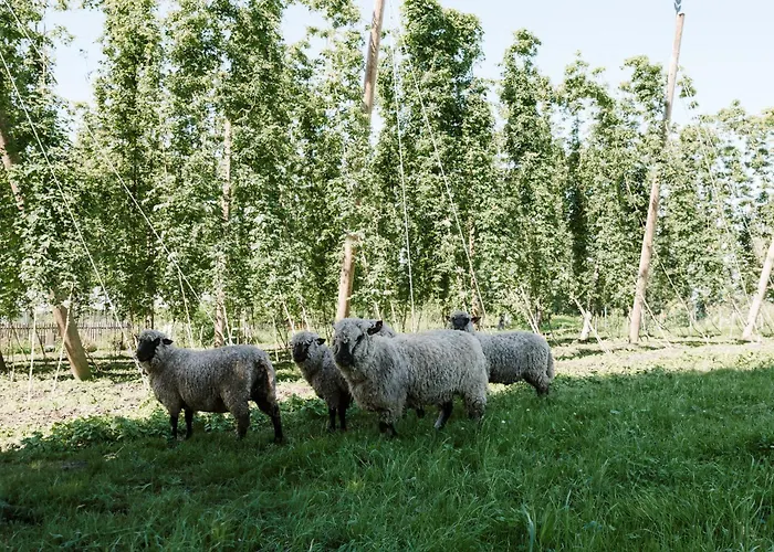 Stiegl-gut Hotell Wildshut